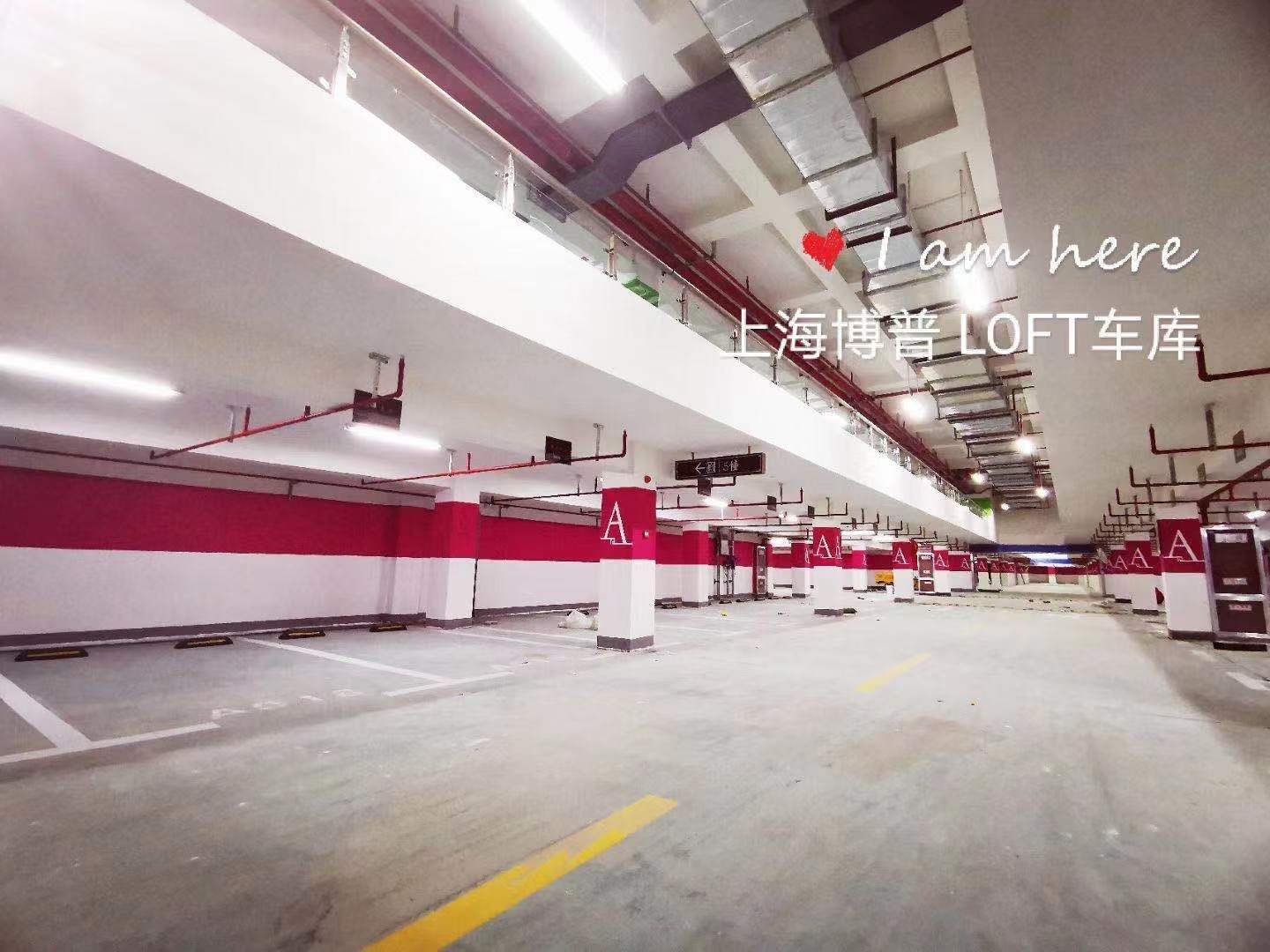 三沙已交竣的绿城豪华LOFT专利车库效果惊艳！